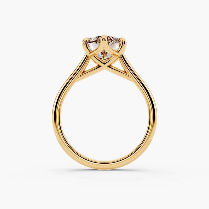 Tapered Cathedral Champagne Setting