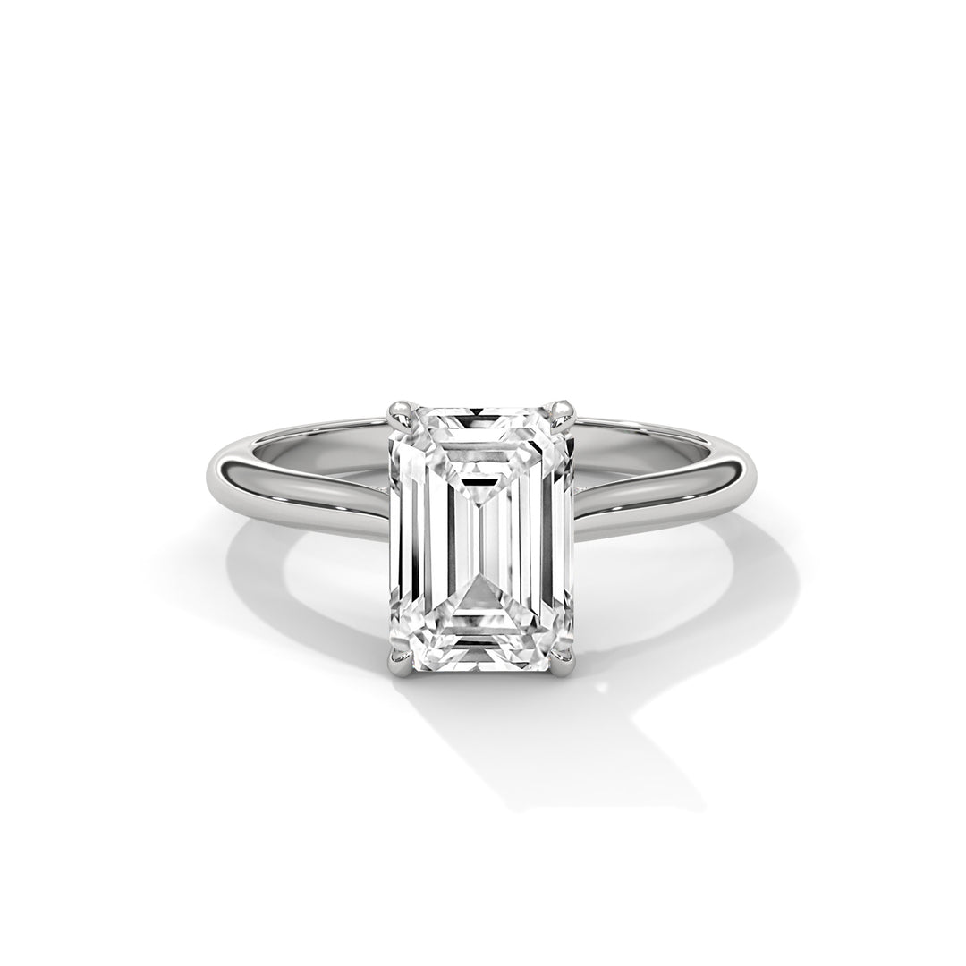 The Solstice Tulip Setting