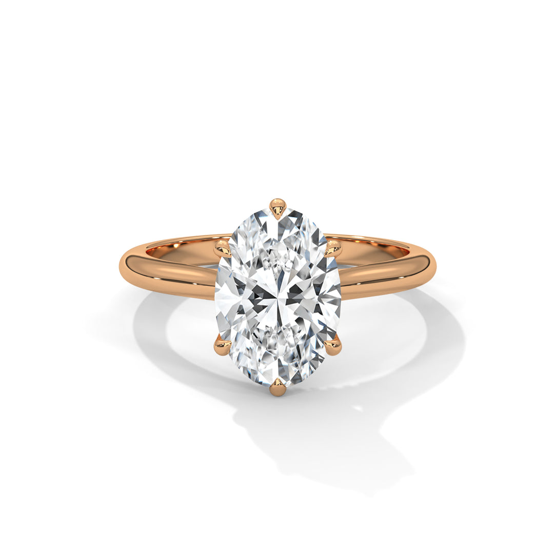 The Solstice Tulip Setting