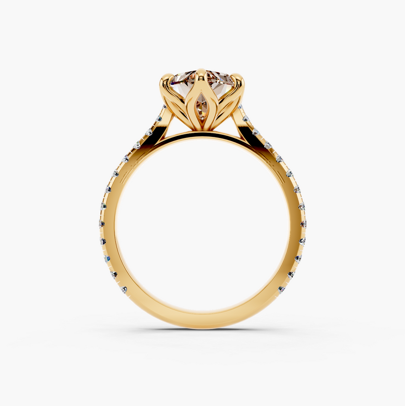 Étoile Tulip Champagne Setting