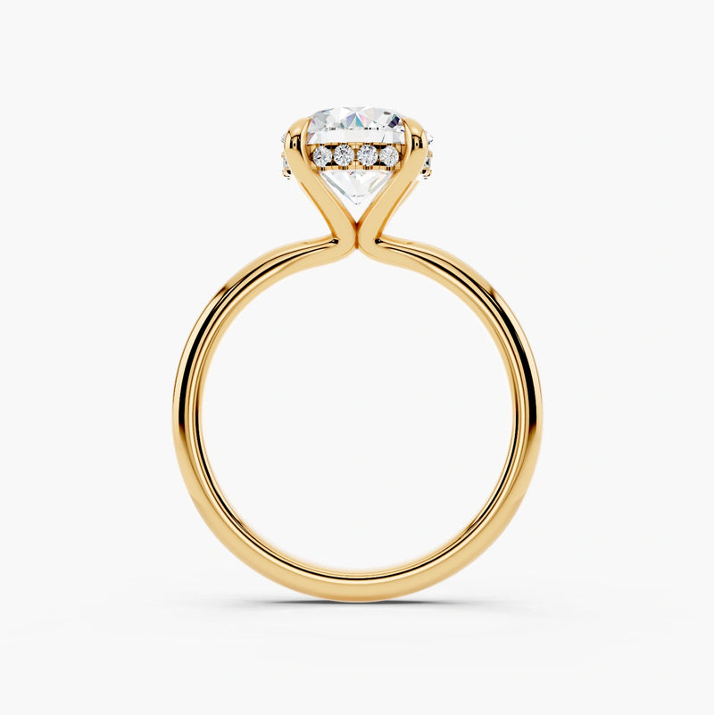 The Ivora Setting
