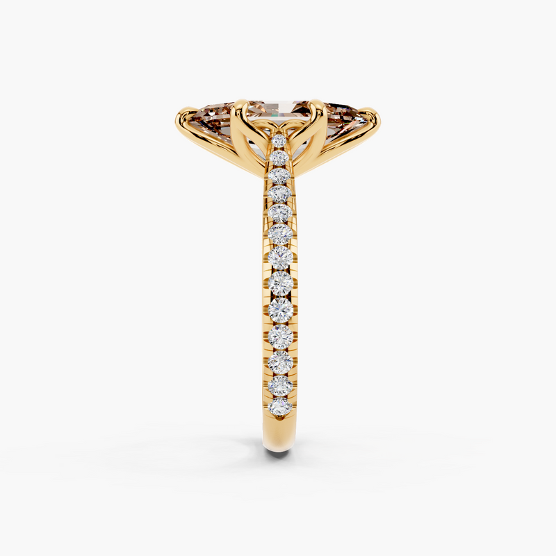 Étoile Tulip Champagne Setting