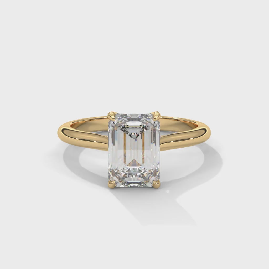 The Solstice Tulip Setting